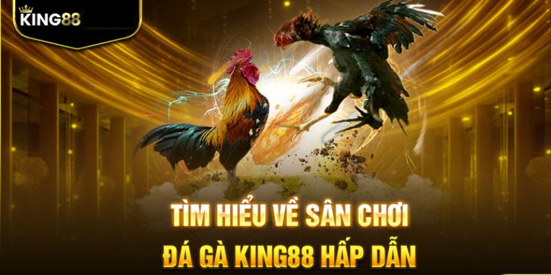 Đôi nét sảnh cược đá gà King88 trực tuyến