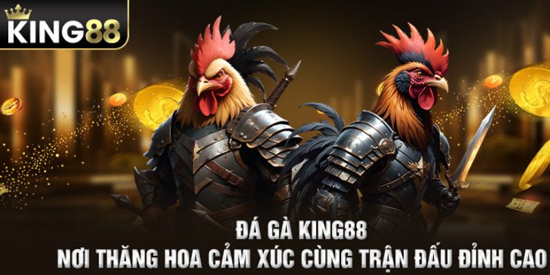 đá gà KIng88